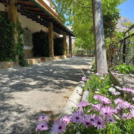 Cortijo El Cercadillo Guest House Bedmar y Garciez Ngoại thất bức ảnh