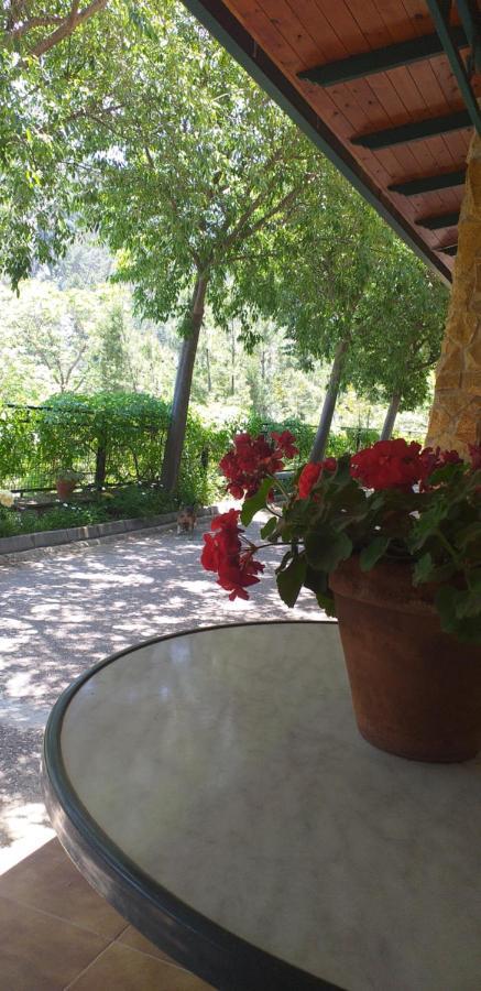 Cortijo El Cercadillo Guest House Bedmar y Garciez Ngoại thất bức ảnh