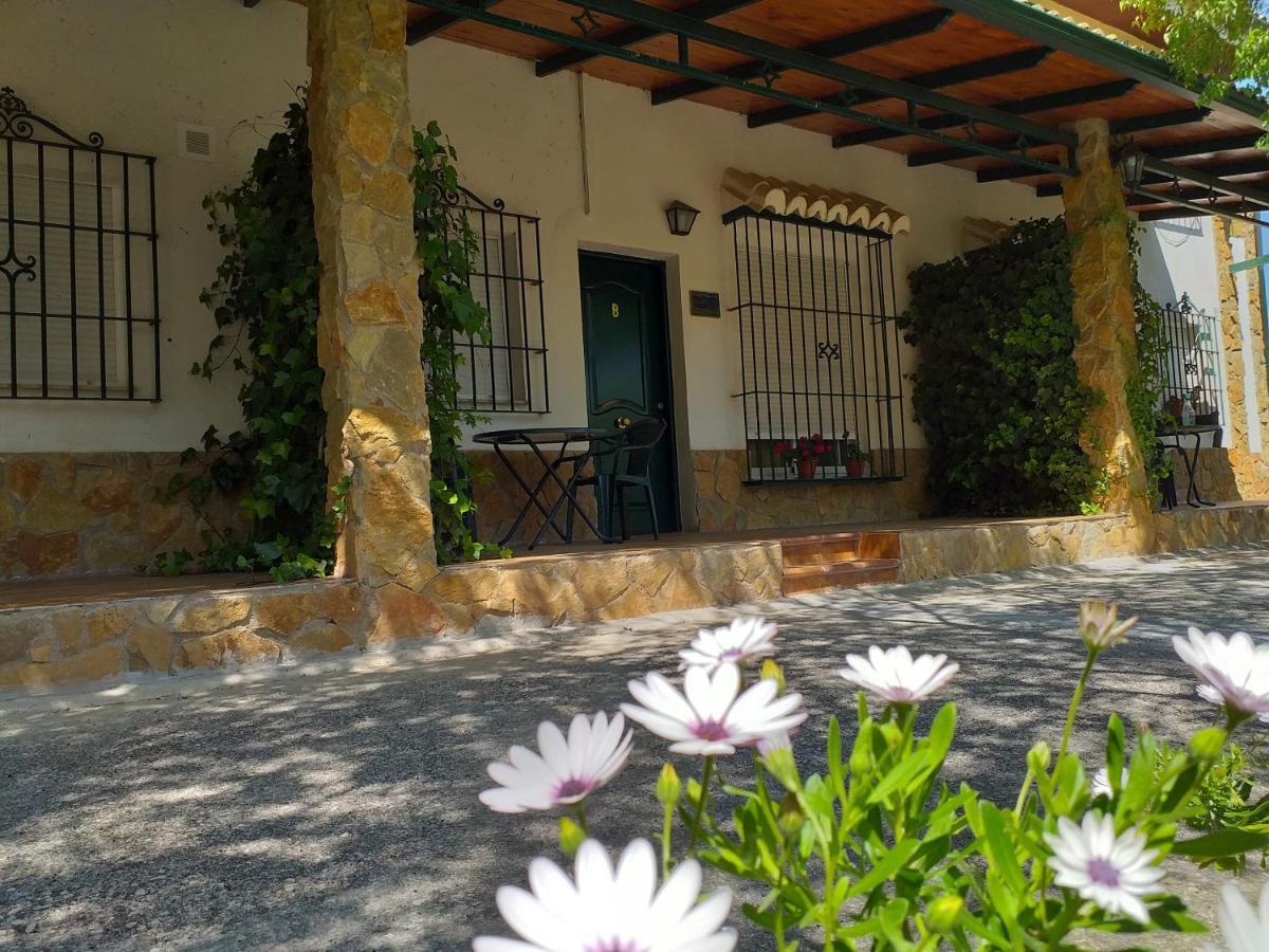 Cortijo El Cercadillo Guest House Bedmar y Garciez Ngoại thất bức ảnh