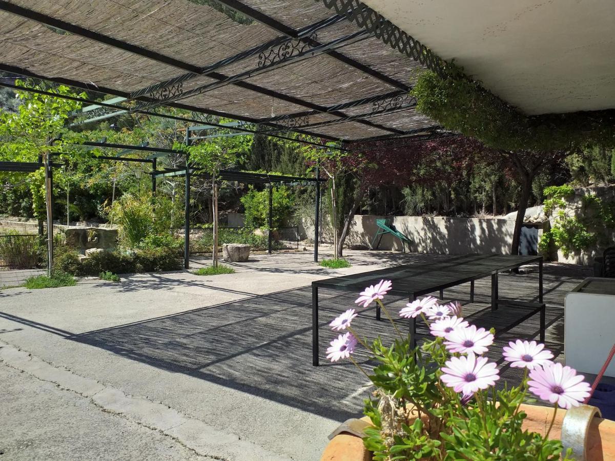 Cortijo El Cercadillo Guest House Bedmar y Garciez Ngoại thất bức ảnh