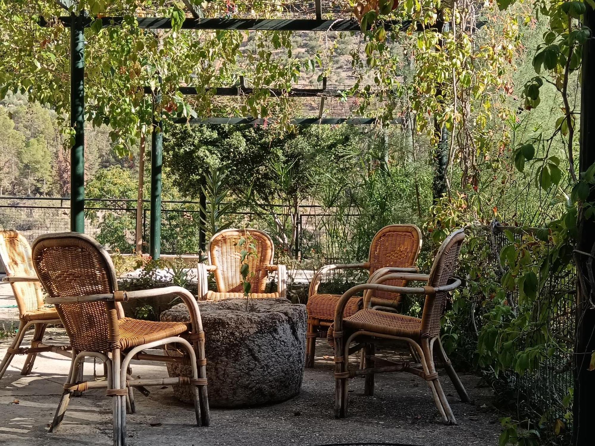 Cortijo El Cercadillo Guest House Bedmar y Garciez Ngoại thất bức ảnh