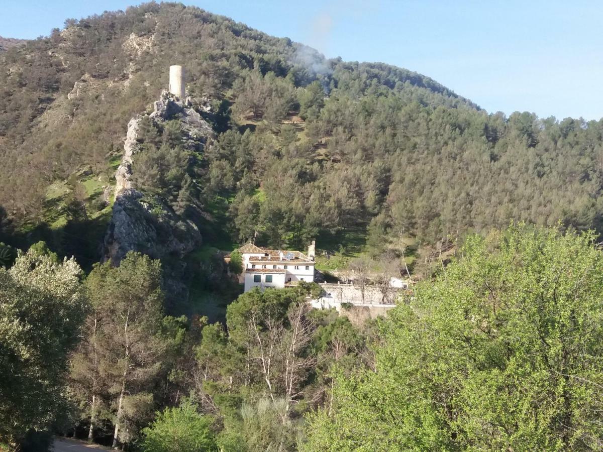 Cortijo El Cercadillo Guest House Bedmar y Garciez Ngoại thất bức ảnh